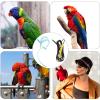 minkissy 2-Piece Adjustable Parrot Harness with Wing Leash for Safe Flying and Training, Lightweight Bird Harness for Small and Medium Parrots and Cockatiels view 3