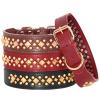 Adjustable Leather Dog Collar with Spikes and Studs, Red, XL view 1