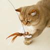 ELMAIN Hands-Free Cat Toy Wand with Feathers, Bell, and Strong Suction Cup view 3