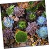 Abaodam Artificial Moss Stones view 4