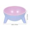 Beaupretty Cat Bowl with Stand view 2