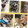 minkissy Adjustable Chest Harness for Small Dogs and Cats, Breathable, with Leash, Comfortable, Black view 4