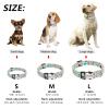 SARUEL Personalized Nylon Dog Collar with Engraved Name ID, Small to Medium Pets, M view 2