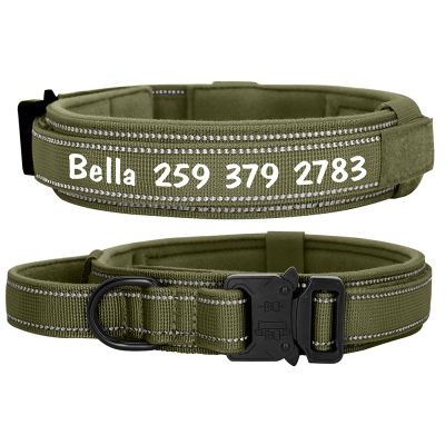 SARUEL Personalized Reflective Dog Collar, Green, L