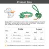 SARUEL Personalized Floral Dog Collar and Leash Set, Green, Size S view 2