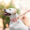 SARUEL Personalized Floral Dog Collar and Leash Set, Green, Size S view 4