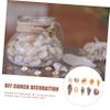 TEHAUX Natural Decorative Shells for Mini DIY Projects, Maritime and Tropical Arrangements view 3