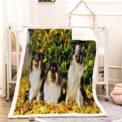 3D Shetland Sheepdog Sherpa Blanket, 100 x 130 cm