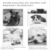 Yuly Non-Slip Dog Bed, Soft Cushioning, Washable Crate Mattress, Calming Bed for Medium and Large Dogs view 3