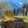 DONA NATURAE | Greek Organic Mountain Tea from Olympus (200 g) | Sideritis scardica | Whole Stems | Economical Packaging (200 g) view 3