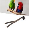 Wooden Bird Perch with Adjustable Suction Cup view 3