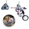 2-Wheel Pet Wheelchair, Adjustable Dog Wheelchair, Easy Assembly (116 kg) view 1