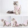 Breathable Cotton Pet Recovery Suit for Cats and Small Dogs view 4