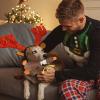 Goose Plush Dog Toy view 3