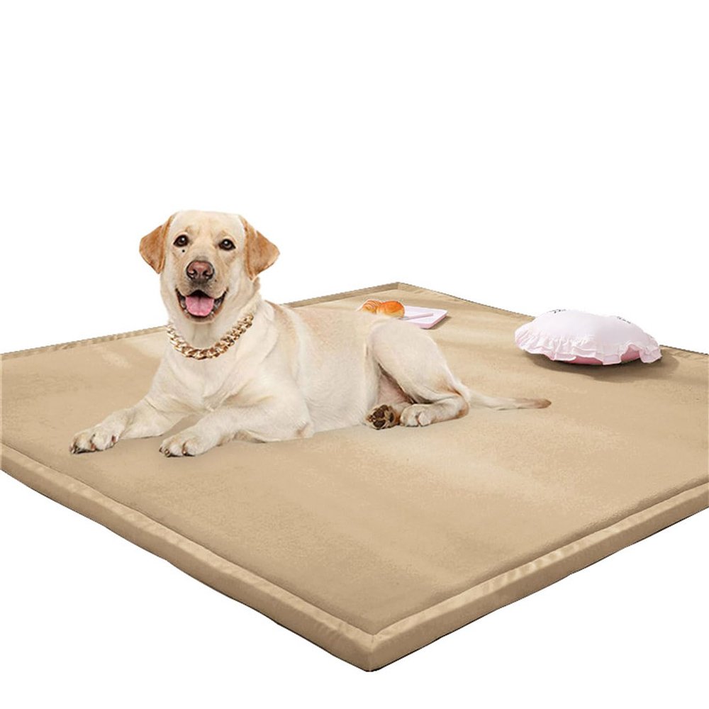 Rr tianshi Large Carpet Play Mat, Coral Fleece, Beige, 40 x 80 cm