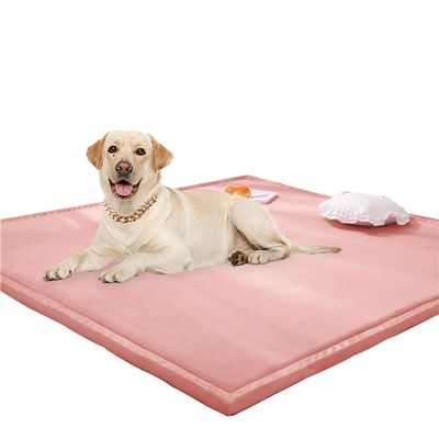 Rr tianshi Large Rug and Play Mat, Coral Velvet, Non-Slip, Pink, 70 x 120 cm