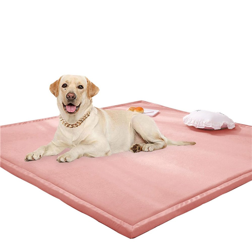 Rr tianshi Large Rug and Play Mat, Coral Velvet, Non-Slip, Pink, 70 x 120 cm