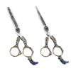 SUNMME 6-Inch 440C Stainless Steel Hair Cutting Scissors, Salon Barber Peacock Set view 1