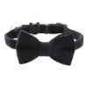 Kitten Breakaway Collar with Bowtie view 1