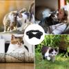 Kitten Breakaway Collar with Bowtie view 2