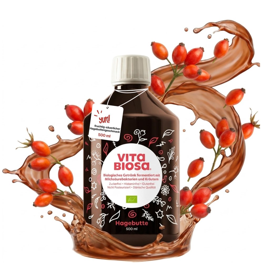 Vita Biosa Rosehip – Spicy-Tart Taste – 100% Certified Organic – 8 Strains of Natural Lactic Acid Bacteria – Extract of 19 Herbs (500 ml)