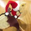 Topiky Reptile Christmas Costume Set with Hat and Scarf view 3