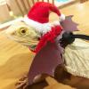 Topiky Reptile Christmas Costume Set with Hat and Scarf view 4