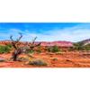 MIRRORANG 91 x 50 cm Vinyl Terrarium Background – Blue Sky, Mountains, Oasis, Desert, Sun and Gobi view 1