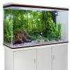 MIRRORANG 120 x 46 cm Tropical Rainforest Terrarium and Aquarium Background view 3