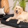 DOGGY Dog Bed, Mattress, Couch for Small and Large Dogs, Black, L: 78x54 cm view 4