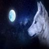 3D Starry White Wolf Sherpa Throw Blanket, 130 x 150 cm view 4