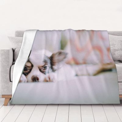 ASEELO 203 × 152 cm Thick Flannel Blanket, Papillon Design, Fleece Throw for Bed, Couch, and Travel