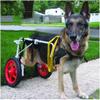 Large Dog Wheelchair for Hind-Leg Mobility Assistance view 1