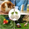 CENMOO Parrot Toy view 2
