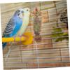 PRETYZOOM Natural Wood Hanging Chew Toy for Parrots and Birds view 4