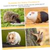 FRCOLOR Wooden Hamster House view 3
