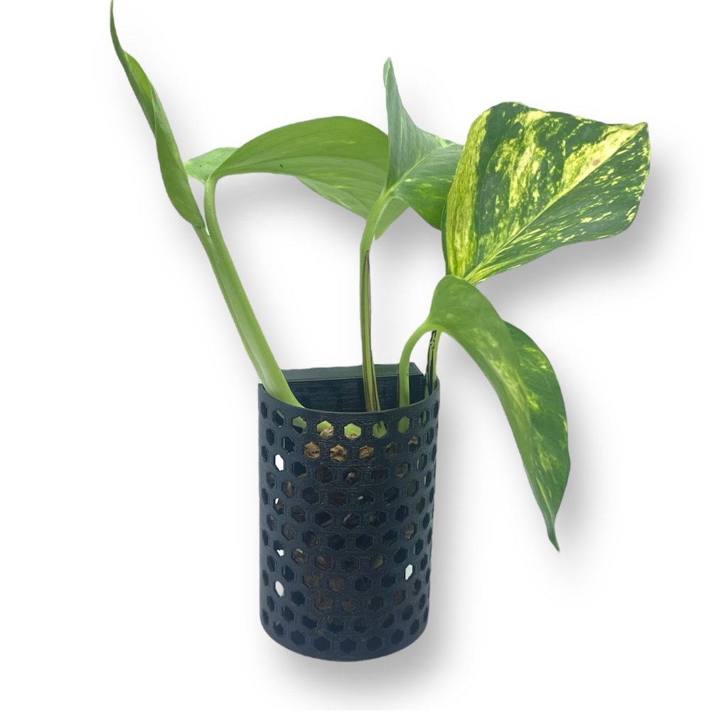 Generic Plant Holder for Aquarium Aquascaping