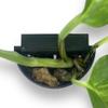 Generic Plant Holder for Aquarium Aquascaping view 3