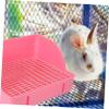 Rabbit Toilet with Splash Guard, Large, PP, Pink view 2