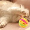 Aznever Cat Jingle Ball Toy view 3