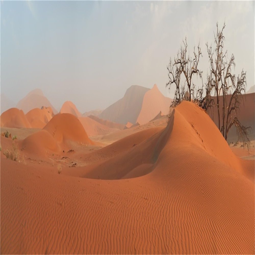 MIRRORANG 61 x 41 cm Orange Desert Terrarium Background