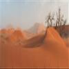 MIRRORANG 61 x 41 cm Orange Desert Terrarium Background view 1