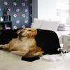 AKATIE 3D Golden Retriever Plush Blanket, 100 x 130 cm, Black view 4