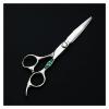 6-Inch Hair Cutting Scissors Set with Cutting and Thinning Scissors, 1,830 Teeth, Thinning Scissors Color view 3