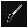6-Inch Hair Cutting Scissors Set with Cutting and Thinning Scissors, 1,830 Teeth, Thinning Scissors Color view 4