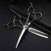 Retro 6-Inch Professional Stainless Steel Hair Scissors Set view 1