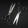 Retro 6-Inch Professional Stainless Steel Hair Scissors Set view 4