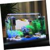 FRCOLOR Aquarium Isolation Box, 1-Piece Plastic Breeding Box, White view 4