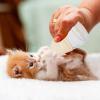 Eastuy Kitten Feeding Bottle, 35 ml Cartoon Water Drop Design view 3