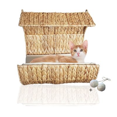 Rohrschneider Cat Radiator Bed & Hammock